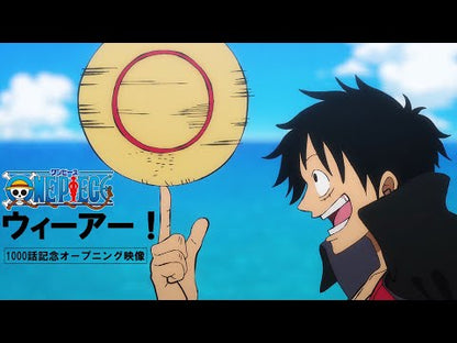 Hiroshi Kitadani / Nami (CV: Akemi Okamura) – ONE PIECE We Are! / MUSIC (7")