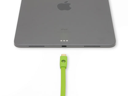 NEO d+ Premium USB (Type C to B) Cable (Class B) by Oyaide Elec. Co.