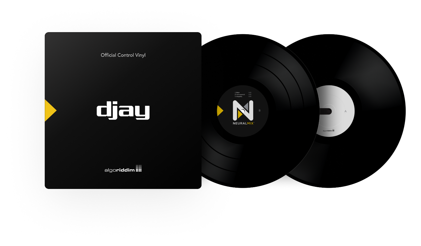 djay PRO AI Control Vinyl (Black Pair)
