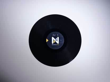 djay Pro 12" Control Vinyl (Black Single)