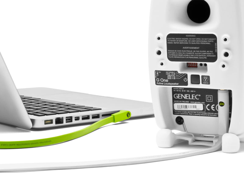 Oyaide NEO d+ Class B MYR Cable (Stereo Mini to RCA)
